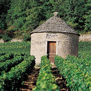 Bourgogne-vin-deux-mondes